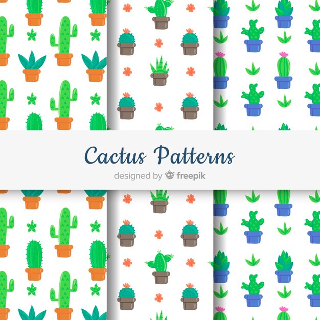 Estampado de cactus dibujado a mano