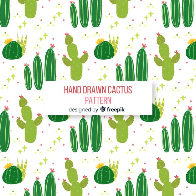 Estampado de cactus dibujado a mano