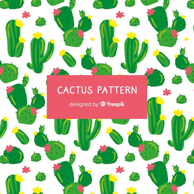 Estampado de cactus dibujado a mano
