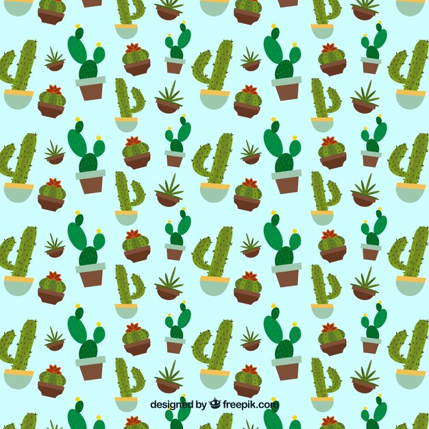 Estampado de cactus en diseño plano