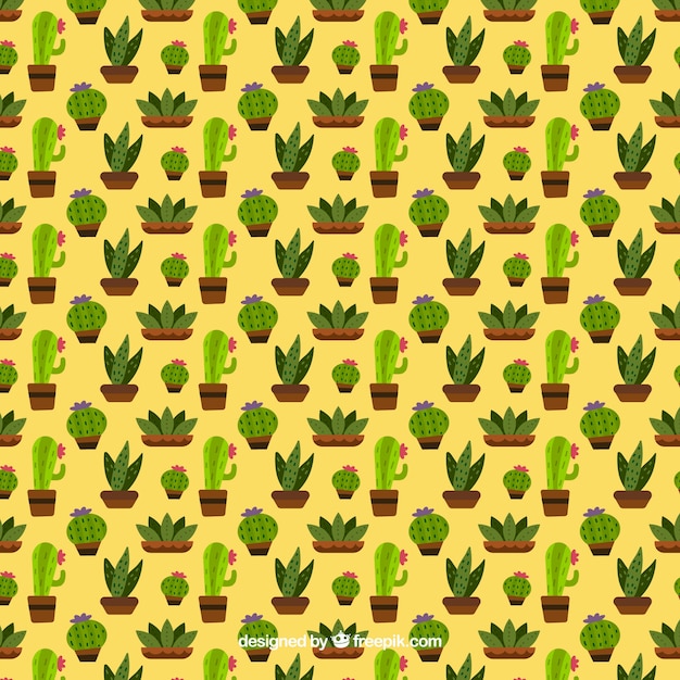 Vector gratuito estampado de cactus en diseño plano