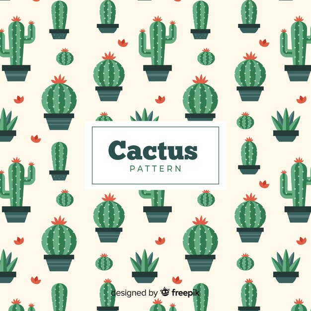 Estampado de cactus