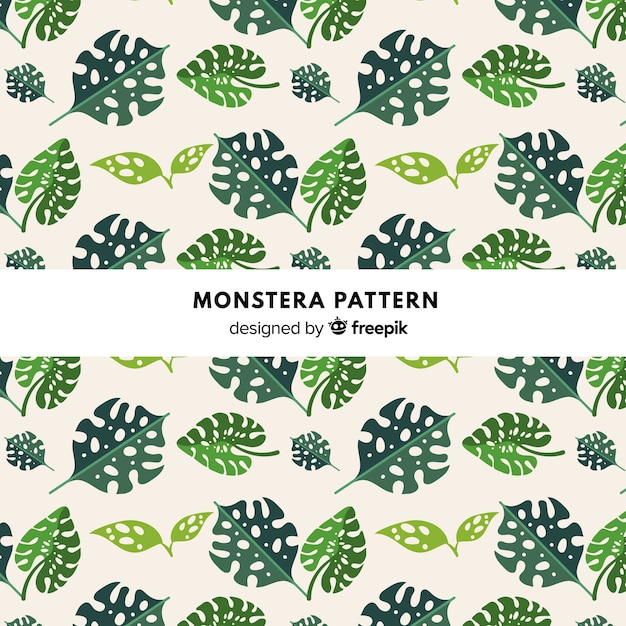 Vector gratuito estampado de planta monstera