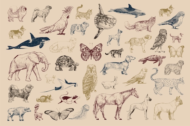 Estilo de dibujo de la ilustración de la colección de animales