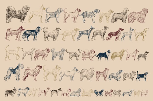 Estilo de dibujo de ilustración de perro