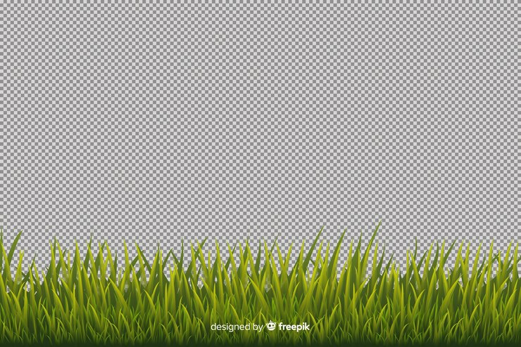 Vector gratuito estilo realista de hierba verde frontera