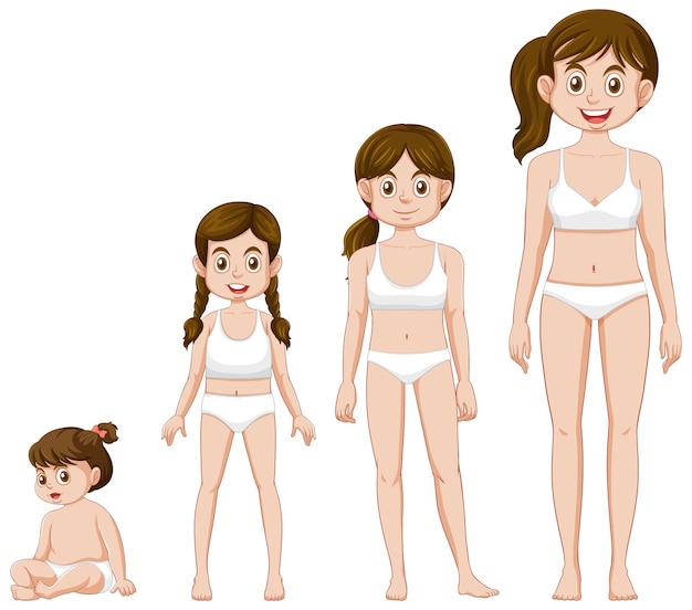 Las etapas de crecimiento de una niña