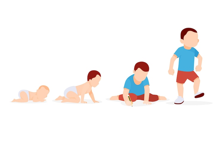 Vector gratuito etapas de ilustración plana de un bebé