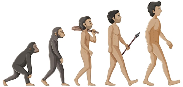 Etapas del personaje de dibujos animados de la evolución humana