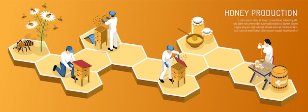 Etapas de producción de miel desde la recolección de néctar hasta el empaque del producto en gradiente horizontal isométrico