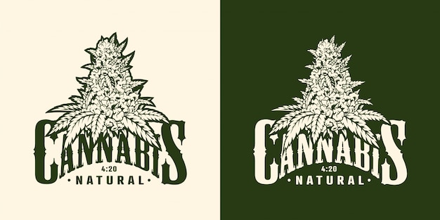 Vector gratuito etiqueta de planta de marihuana vintage