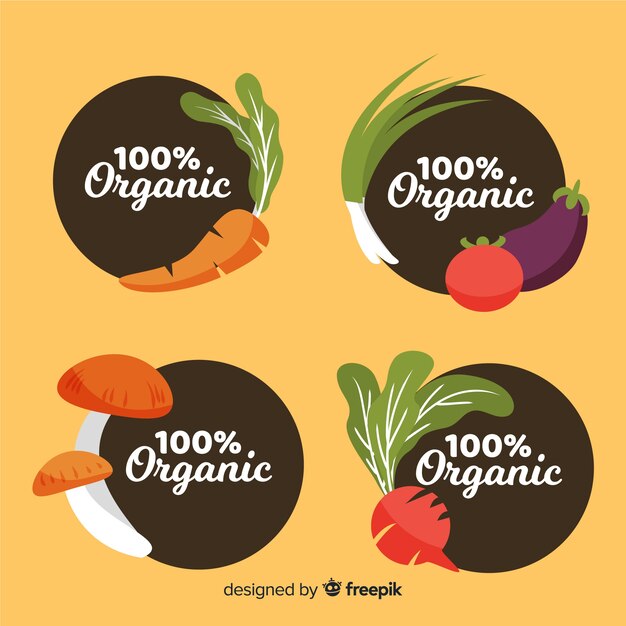 Etiquetas de comida orgánica en diseño plano