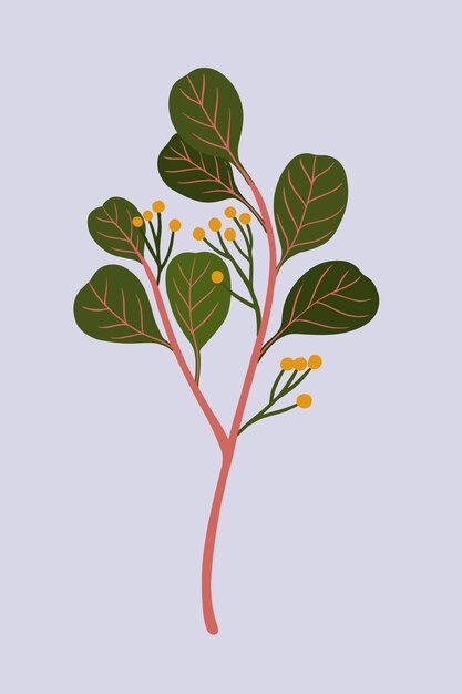 Eucalipto botánico en un vector de fondo púrpura