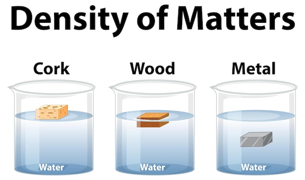 Vector gratuito experimento científico de la densidad de la materia.