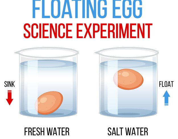 Experimento científico con huevo flotante