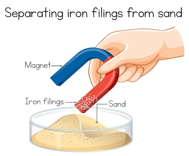 Vector gratuito experimento científico con la separación de limaduras de hierro de la arena