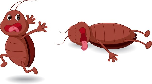 Cucaracha | Fotos y Vectores gratis