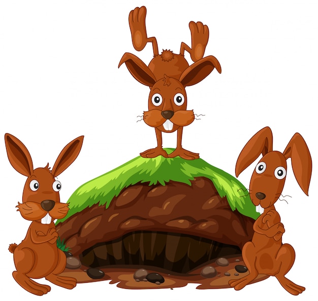 Una familia de conejo en el fondo blanco