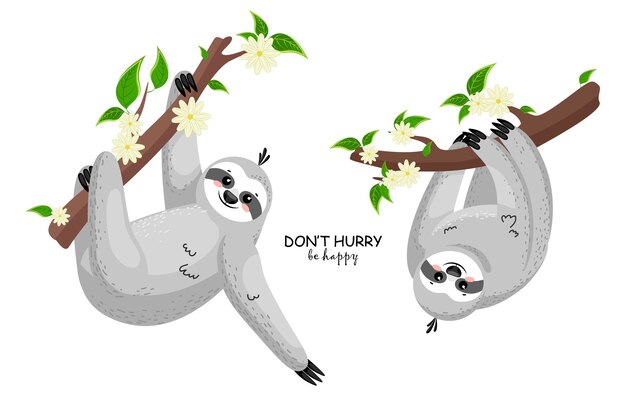 Familia De Perezosos De Dibujos Animados Perezoso Lindo Bebe Durmiendo En La Hierba Entre Flores Y Hojas Vector Premium