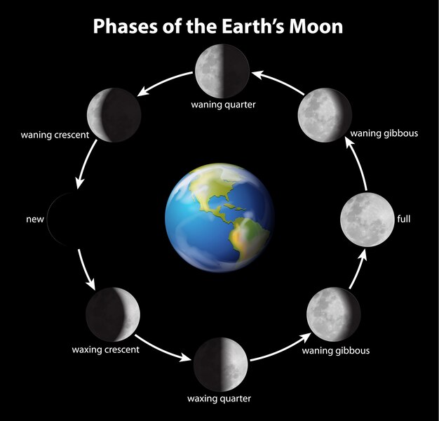 Fases de la luna