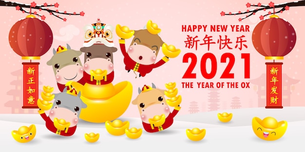 Feliz año nuevo chino 2021, pequeño buey y danza del león con lingotes de oro chinos, el año del zodíaco del buey, vaca linda calendario de dibujos animados aislado, traducción feliz año nuevo chino