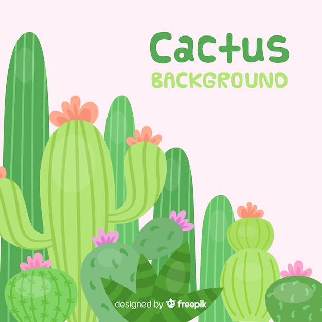Findi cactus con flores dibujados a mano