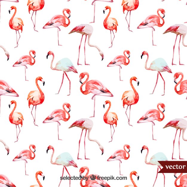 Flamencos Acuarela