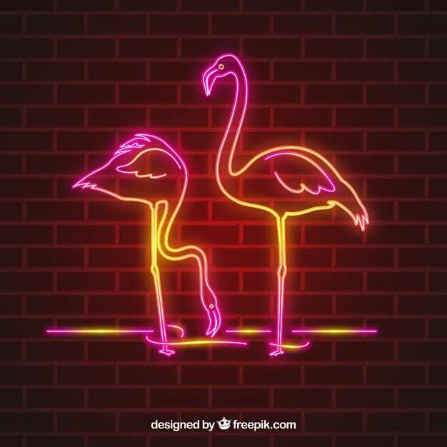 Flamencos de neón con luz rosa