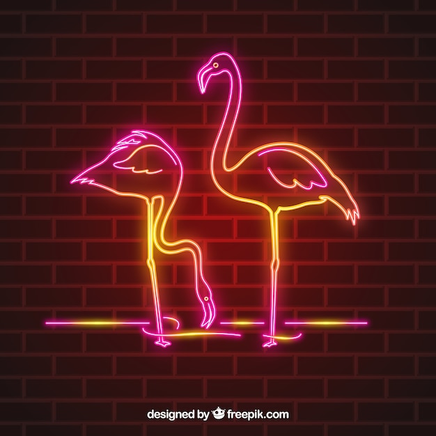 Flamencos de neón con luz rosa