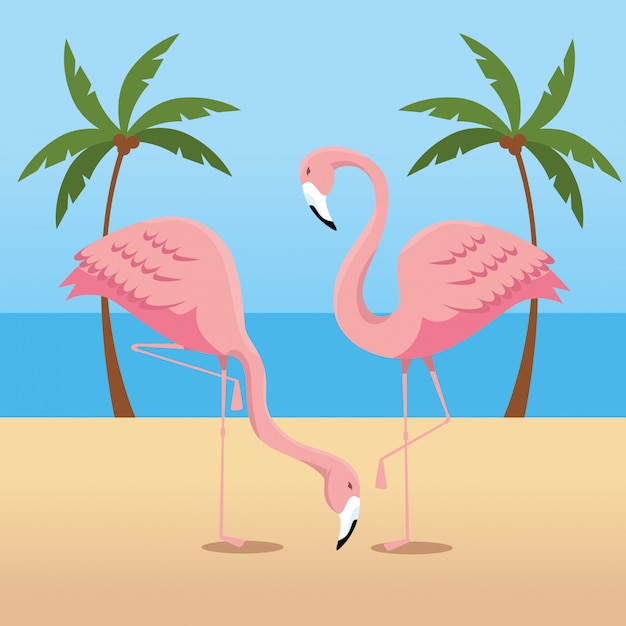 Flamencos tropicales con palmeras en la playa
