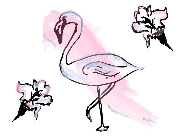 Flamingo acuarela línea arte vector Tropical tema carteles