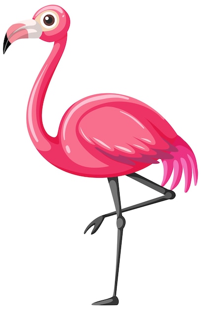 Flamingo en estilo de dibujos animados aislado sobre fondo blanco.