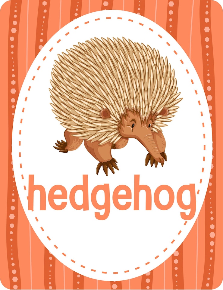 Vector gratuito flashcard de vocabulario con la palabra hedgehog