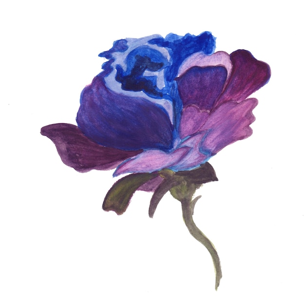 Flor abstracta elemento azul violeta acuarela fondo ilustración alta resolución Foto gratis
