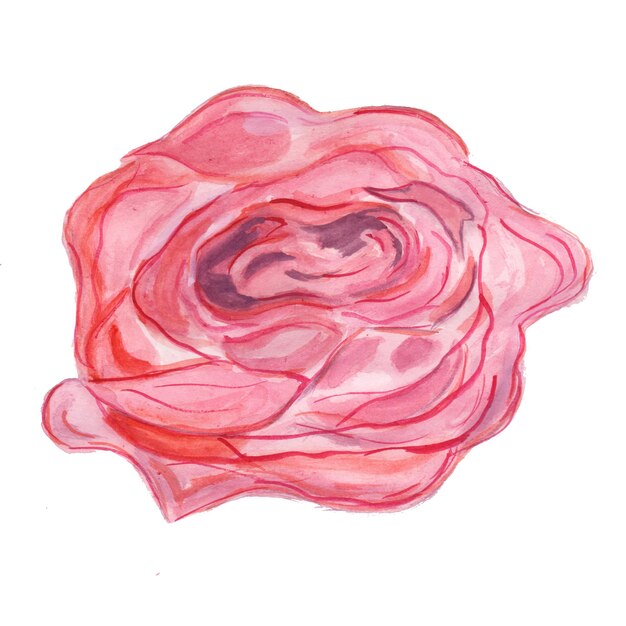 Flor abstracta elemento rosa acuarela fondo ilustración alta resolución Foto gratis