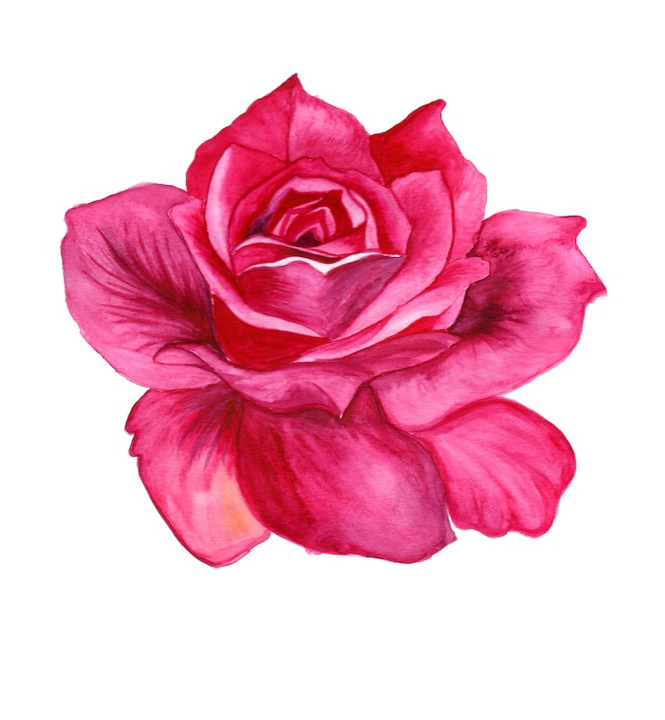 Vector gratuito flor abstracta elemento rosa acuarela fondo ilustración alta resolución foto gratis