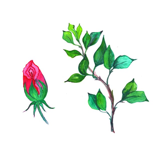 Flor abstracta hojas elemento rosa verde acuarela fondo ilustración alta resolución Foto gratis