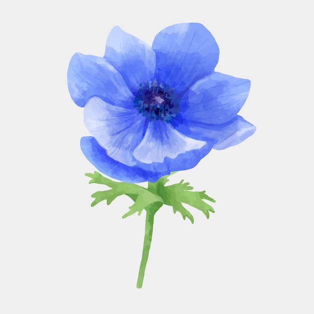 Flor azul, mano, dibujado, vector, floral clipart