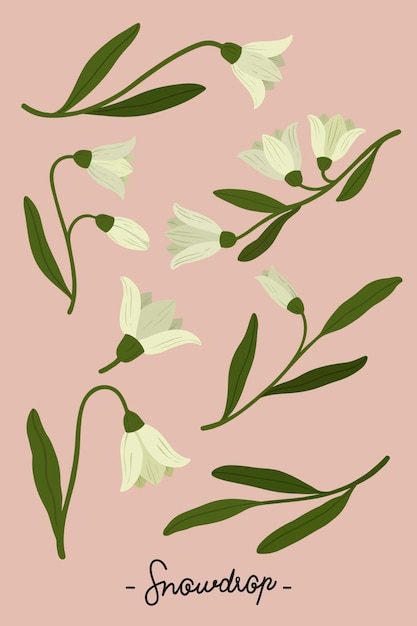 Flor blanca botánica en un vector de fondo rosa