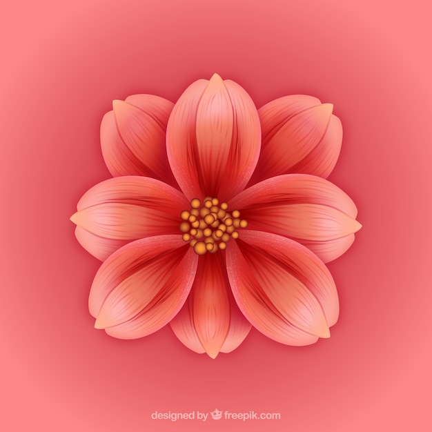 Flor exótica rosa