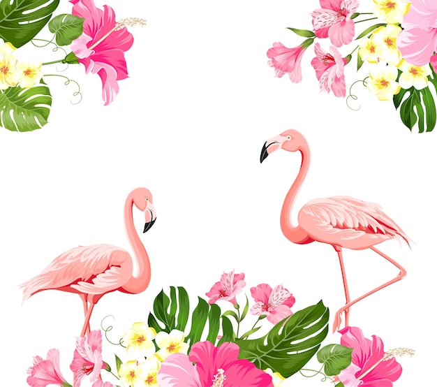 Flor tropical y flamencos sobre fondo blanco. Ilustración vectorial