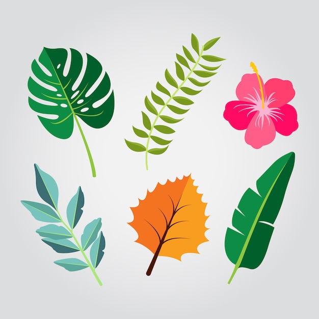 Flor tropical y hoja