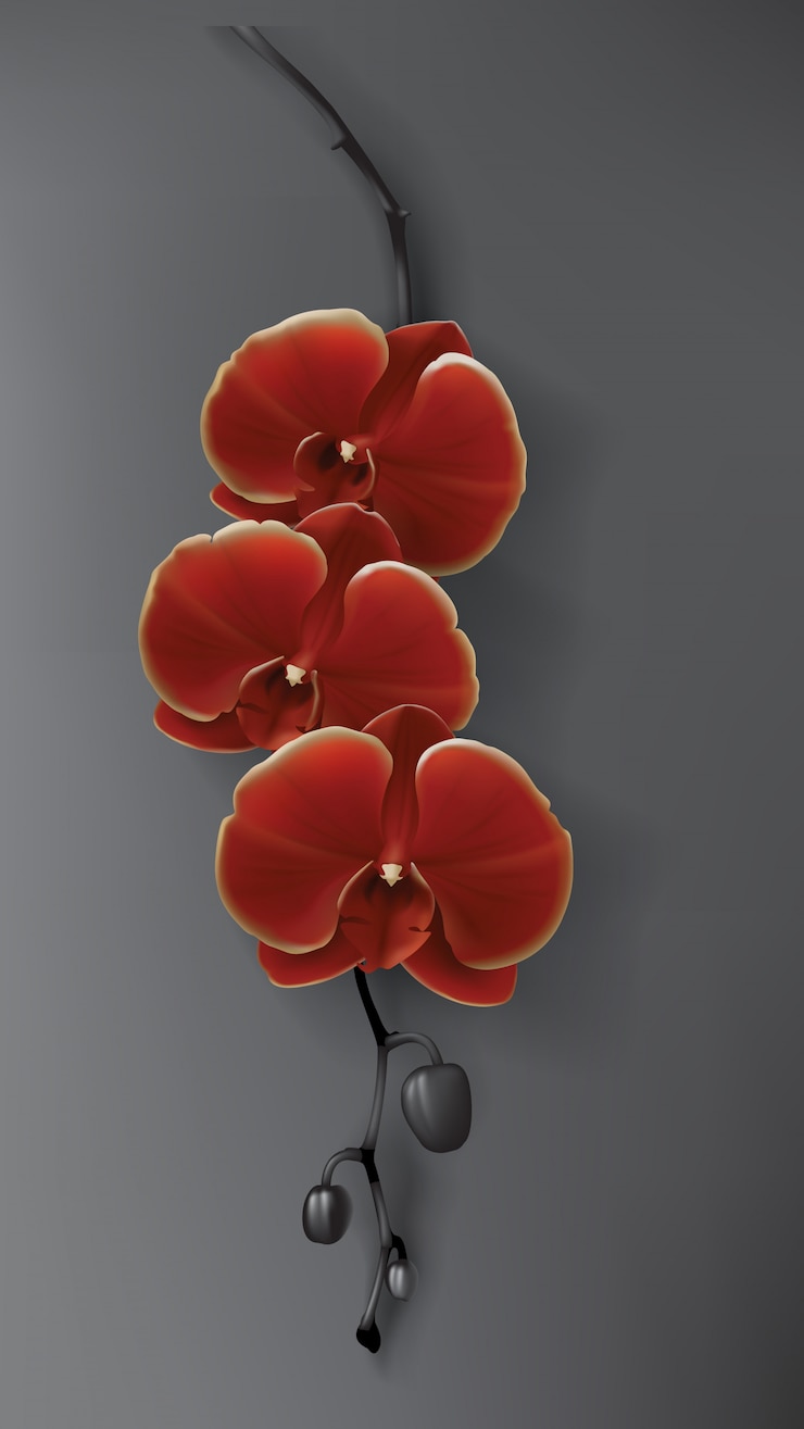 Vector gratuito flor tropical de orquídeas negras, rojas y doradas en la oscuridad