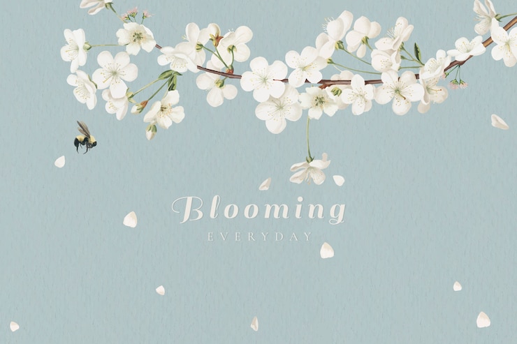 Vector gratuito floración de flores blancas