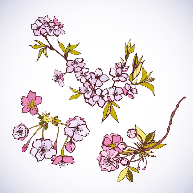 Florecientes elementos decorativos de sakura.