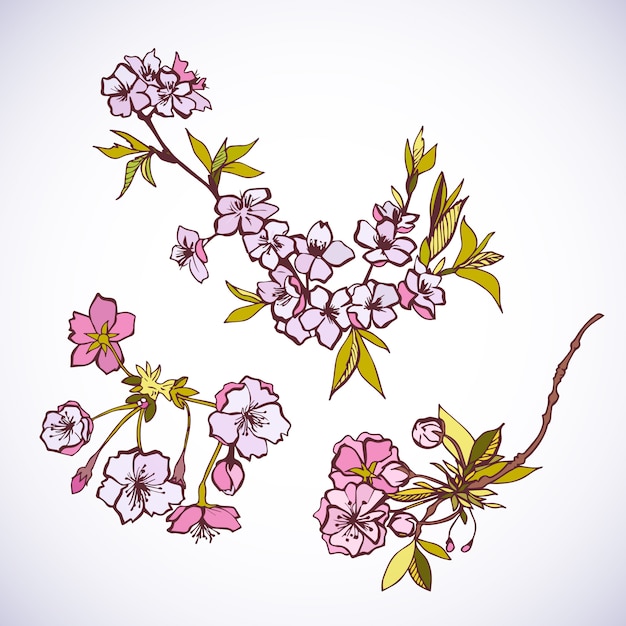 Vector gratuito florecientes elementos decorativos de sakura.