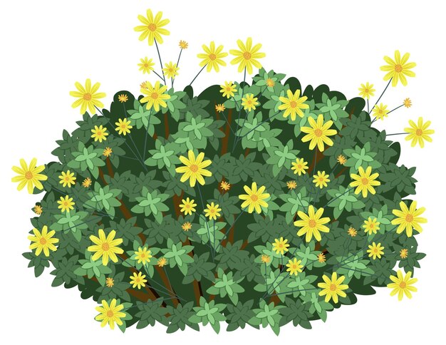 Flores amarillas vibrantes en un follaje verde exuberante