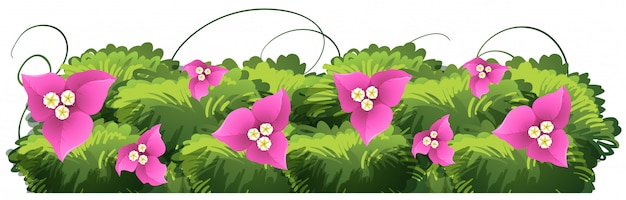 Vector gratuito flores de buganvilla en color rosa