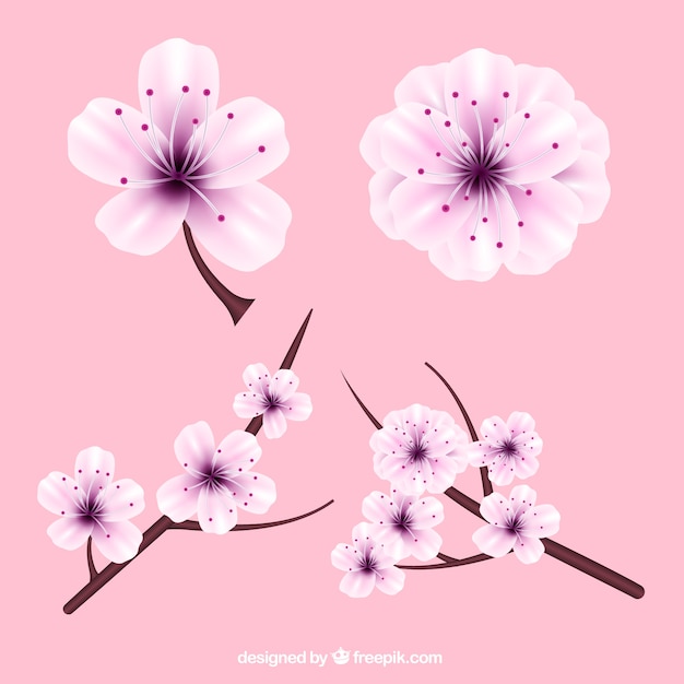 Vector gratuito flores del cerezo realistas con detalles morados