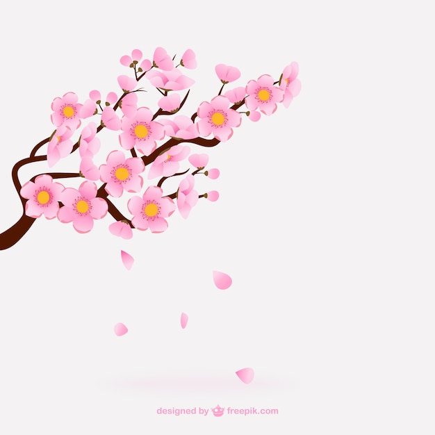 Flores de cerezo rosadas